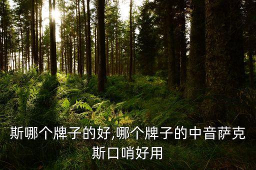 萨克斯哪个牌子的好,哪个牌子的中音萨克斯口哨好用?