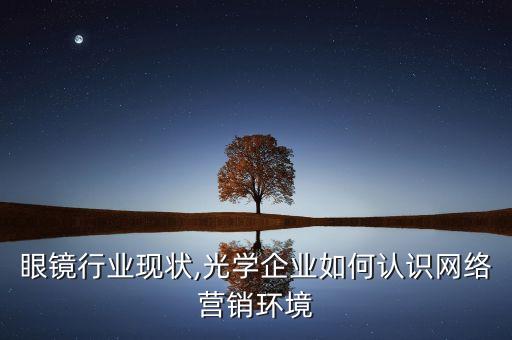 眼镜行业现状,光学企业如何认识网络营销环境