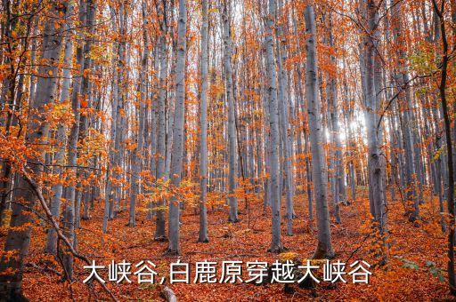 大峡谷,白鹿原穿越大峡谷