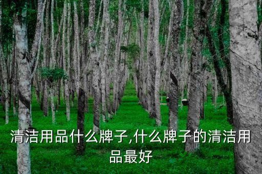 清洁用品什么牌子,什么牌子的清洁用品最好