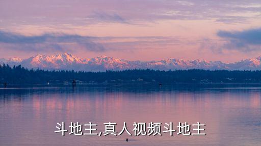 视频斗地主,真人视频斗地主