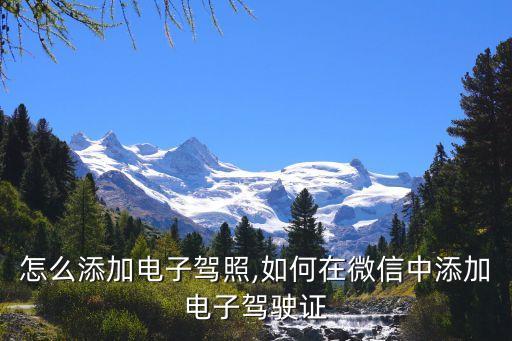 怎么添加电子驾照,如何在微信中添加电子驾驶证