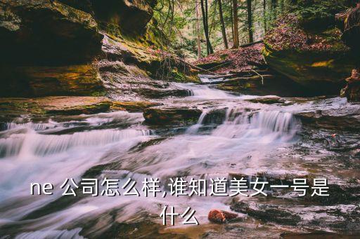 美one 公司怎么样,谁知道美女一号是什么?