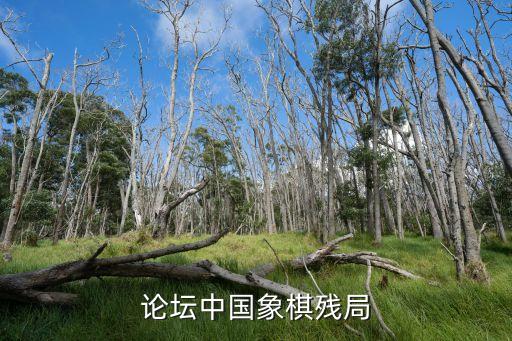 论坛中国象棋残局