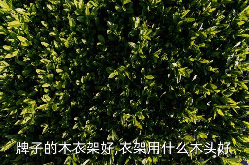 什么牌子的木衣架好,衣架用什么木头好?
