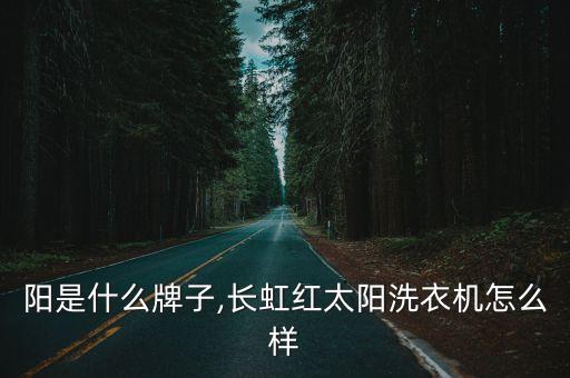 阳是什么牌子,长虹红太阳洗衣机怎么样