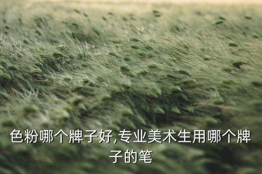 美术色粉哪个牌子好,专业美术生用哪个牌子的笔?