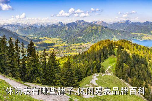 休闲表有哪些牌子,休闲男表品牌百科