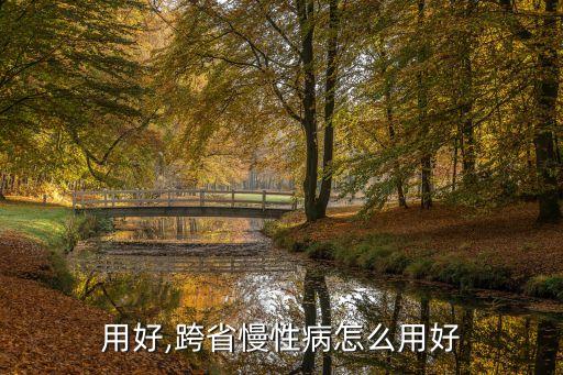 用好,跨省慢性病怎么用好