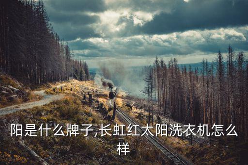阳是什么牌子,长虹红太阳洗衣机怎么样