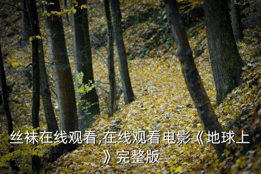 美女丝袜在线观看,在线观看电影《地球上》完整版