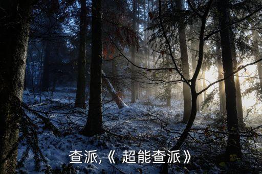 超能查派,《 超能查派》