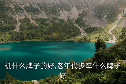 代步机什么牌子的好,老年代步车什么牌子好?