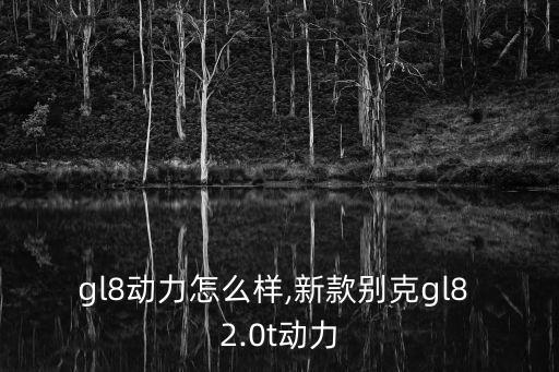 gl8动力怎么样,新款别克gl8 2.0t动力
