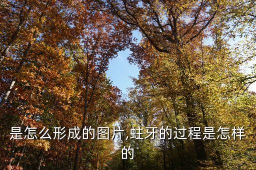 蛀牙是怎么形成的图片,蛀牙的过程是怎样的?