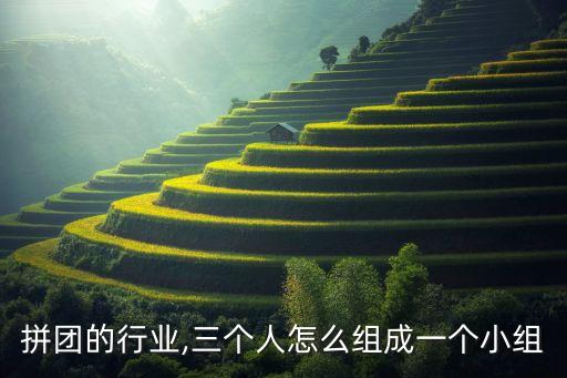三人拼团的行业,三个人怎么组成一个小组?