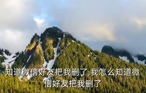 知道微信好友把我删了,我怎么知道微信好友把我删了
