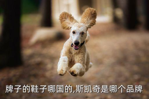 sw牌子的鞋子哪国的,斯凯奇是哪个品牌?