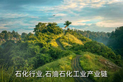 石化行业,石油石化工业产业链