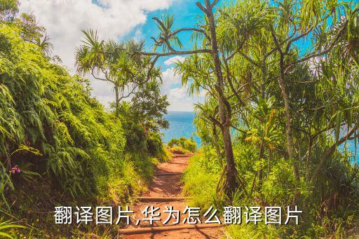怎么翻译图片,华为怎么翻译图片