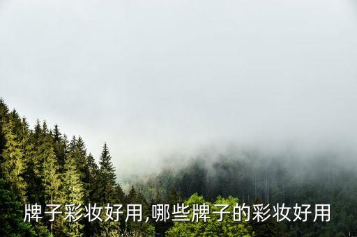 牌子彩妆好用,哪些牌子的彩妆好用
