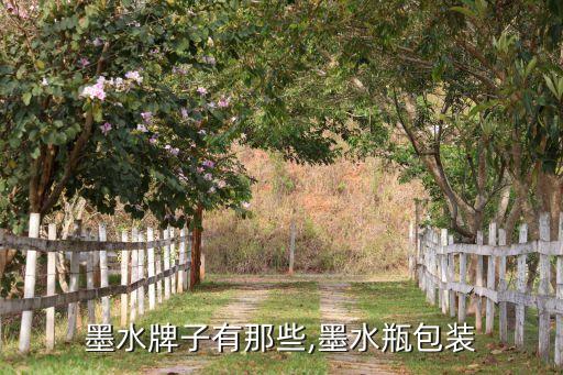 瓶装墨水牌子有那些,墨水瓶包装