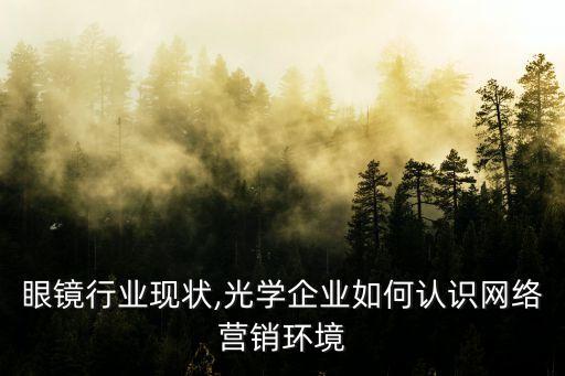 眼镜行业现状,光学企业如何认识网络营销环境