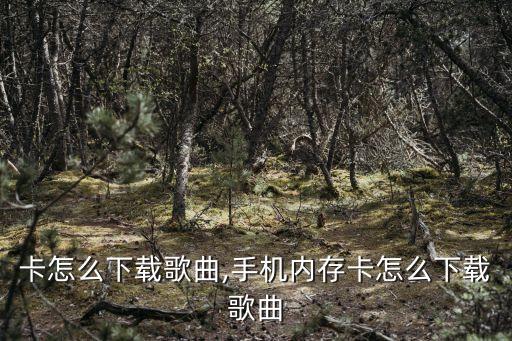 内存卡怎么下载歌曲,手机内存卡怎么下载歌曲