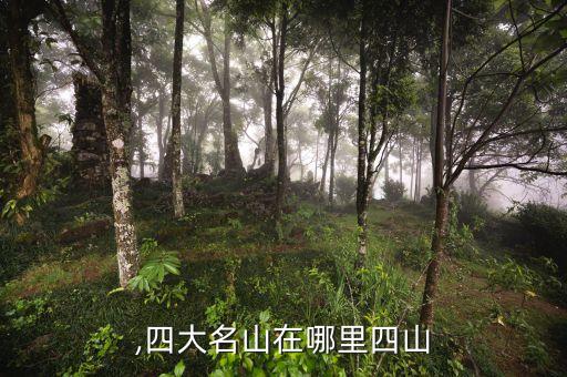 ,四大名山在哪里四山