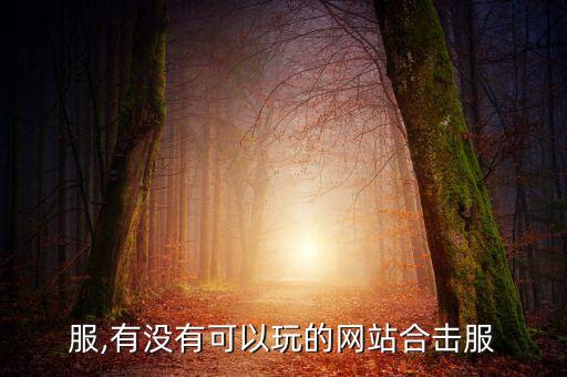 合击服,有没有可以玩的网站合击服