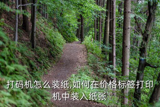手动打码机怎么装纸,如何在价格标签打印机中装入纸张?