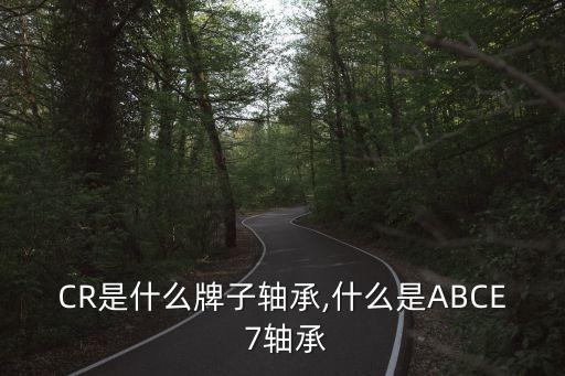 ABCR是什么牌子轴承,什么是ABCE 7轴承?