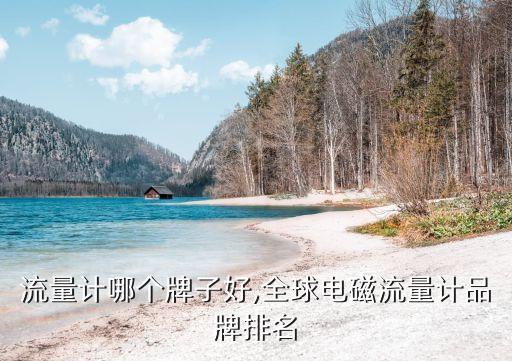 电磁流量计哪个牌子好,全球电磁流量计品牌排名