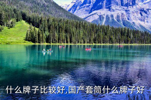 套筒什么牌子比较好,国产套筒什么牌子好?