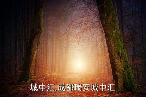 瑞安城中汇,成都瑞安城中汇
