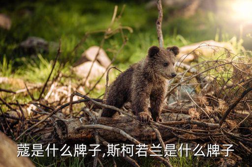 丝兰蔻是什么牌子,斯柯若兰是什么牌子?