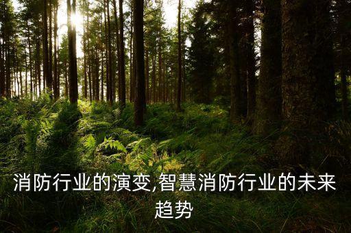 智能消防行业的演变,智慧消防行业的未来趋势