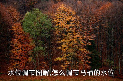 水位调节图解,怎么调节马桶的水位