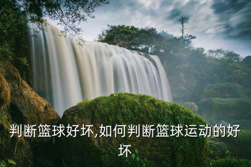 判断篮球好坏,如何判断篮球运动的好坏