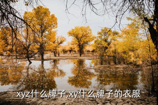 衣服xyz什么牌子,xy什么牌子的衣服?