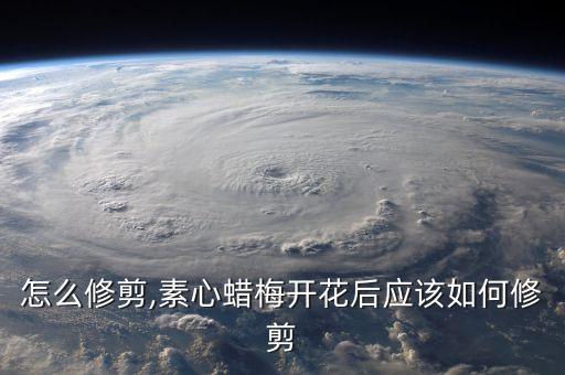 怎么修剪,素心蜡梅开花后应该如何修剪