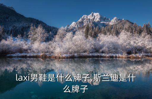 salaxi男鞋是什么牌子,斯兰迪是什么牌子?