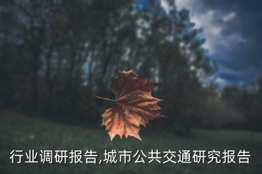 公路行业调研报告,城市公共交通研究报告