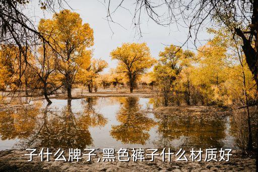 子什么牌子,黑色裤子什么材质好