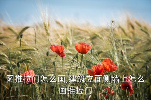 平面图推拉门怎么画,建筑立面侧墙上怎么画推拉门?