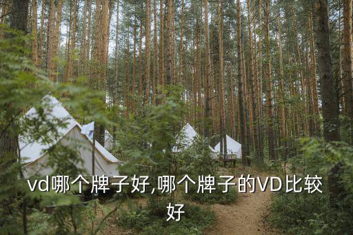 vd哪个牌子好,哪个牌子的VD比较好