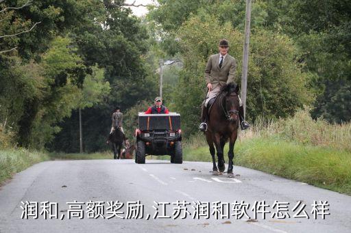 润和,高额奖励,江苏润和软件怎么样
