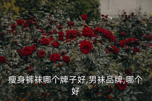 瘦身裤袜哪个牌子好,男袜品牌,哪个好