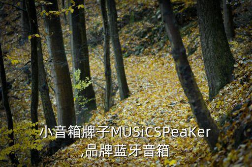 蓝牙小音箱牌子MUSiCSPeaKer,品牌蓝牙音箱