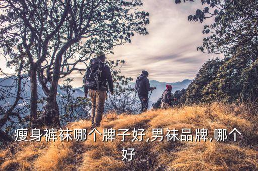 韩国瘦身裤袜哪个牌子好,男袜品牌,哪个好?